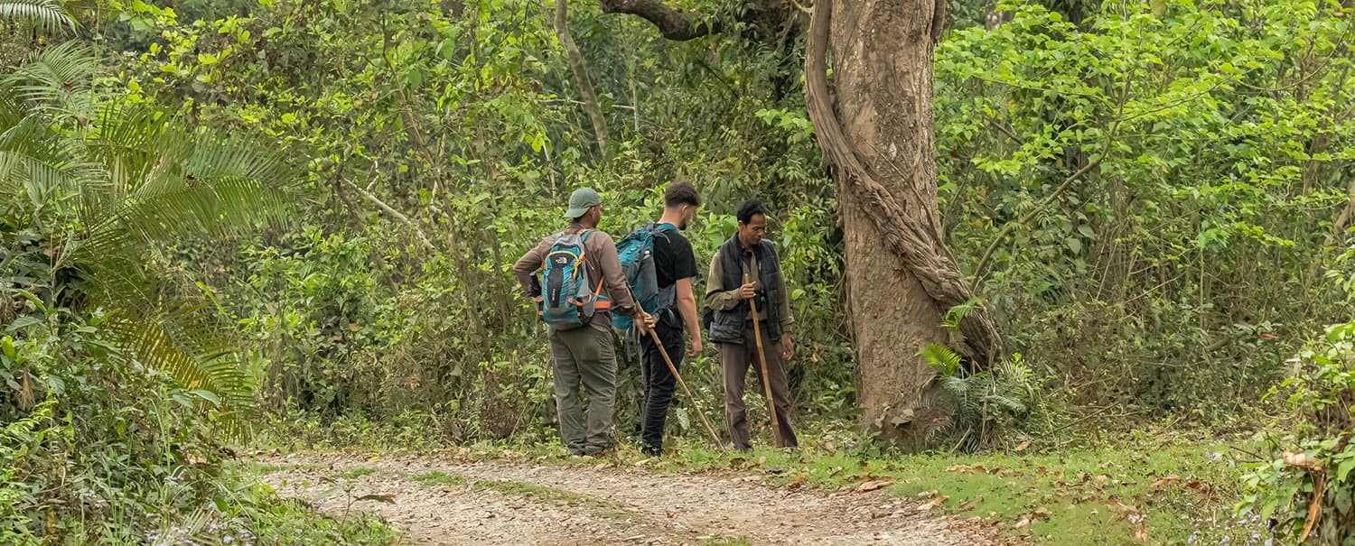 jungle-walk-in-sauraha-chitwan-national-park