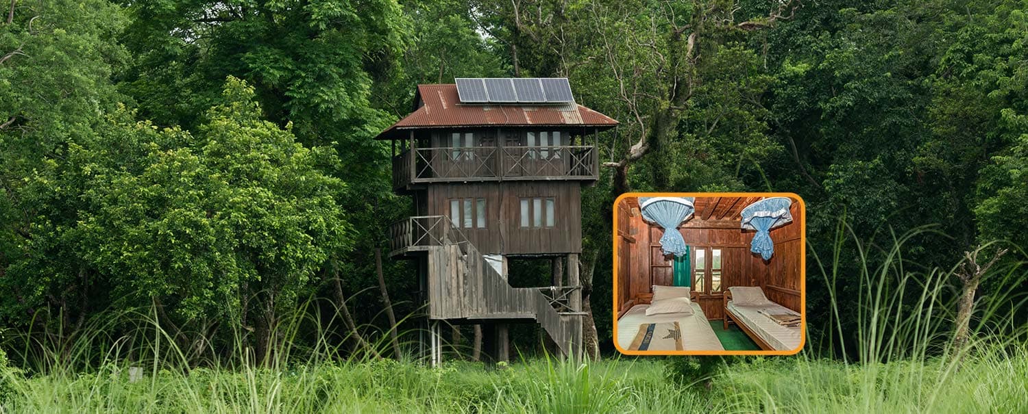 tower-night-stay-in-jungle