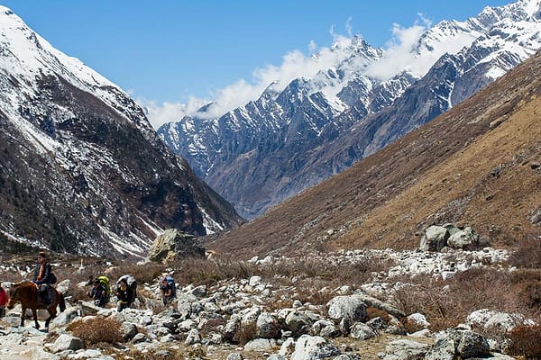 langtang-valley-trekking-in-nepal