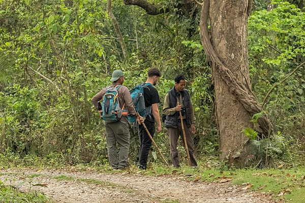 jungle-walk-in-sauraha-chitwan-national-park