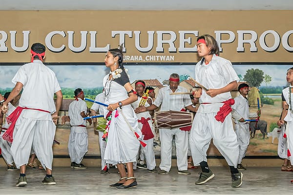 tharu-village-and-cultural-dance